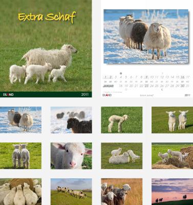 Postkartenkalender Extra Schaf 2011