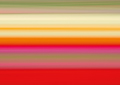 Tulpen Tulips 031