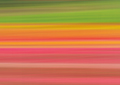 Tulpen Tulips 032