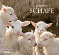 ... geliebte Schafe 2013